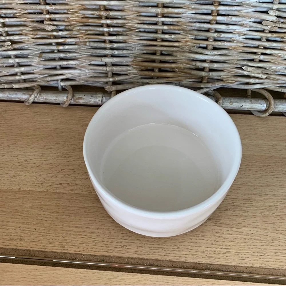Rae Dunn Devour dog/cat eating bowl
